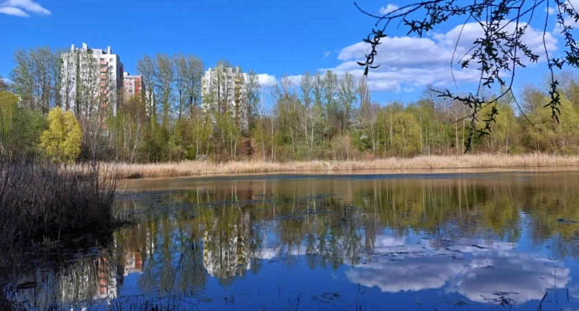 W Katowicach powstanie nowy park. Urząd Miasta zapyta mieszkańców, jak ma wyglądać