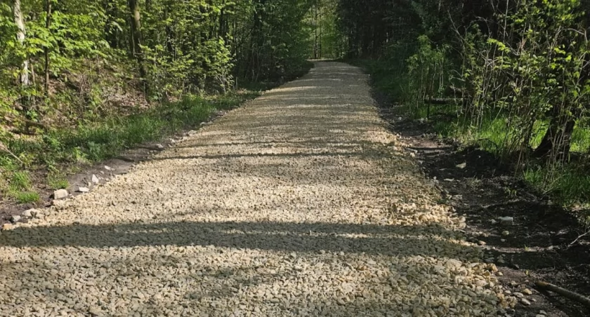 Popularna trasa rowerowa wysypana grubymi kamieniami. Rowerzyści narzekają, a leśnicy uspokajają