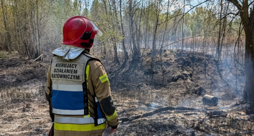 Pożary traw w Katowicach. Strażacy jeżdżą z jednej interwencji na następną 