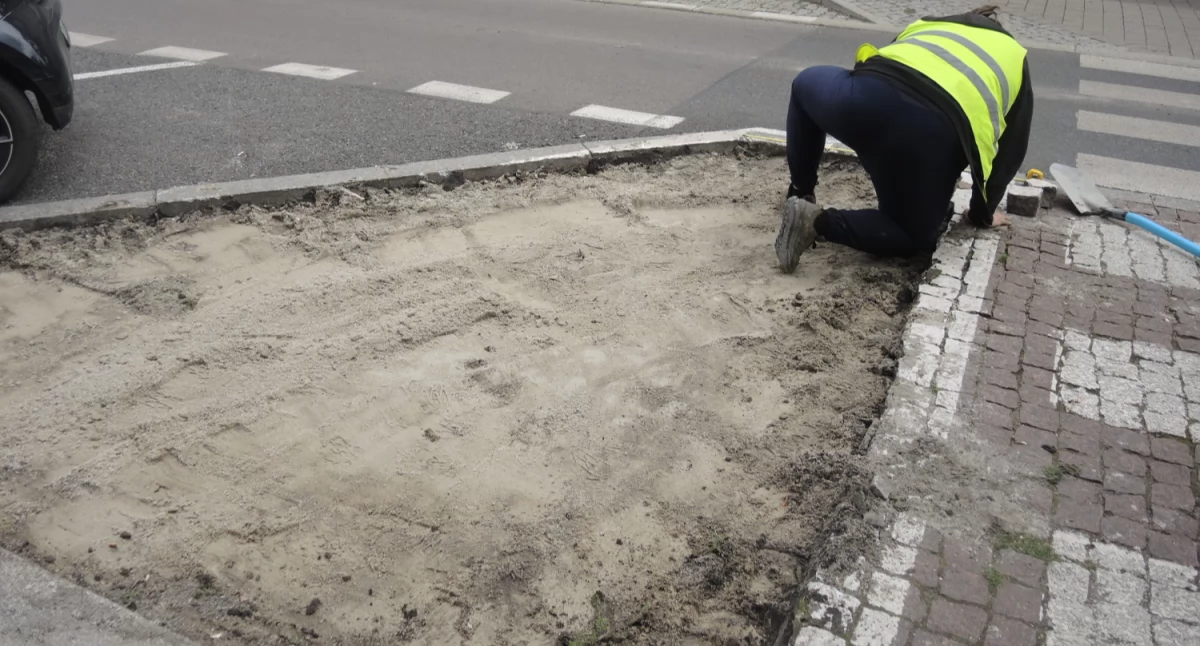 A jednak da się zazielenić byłe miejsca parkingowe. Właśnie zaczęły się prace w centrum Katowic