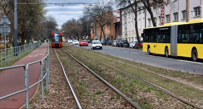 Dzień dobry Katowice. Będzie wycinka przy rozbudowie linii tramwajowej na al. Korfantego 