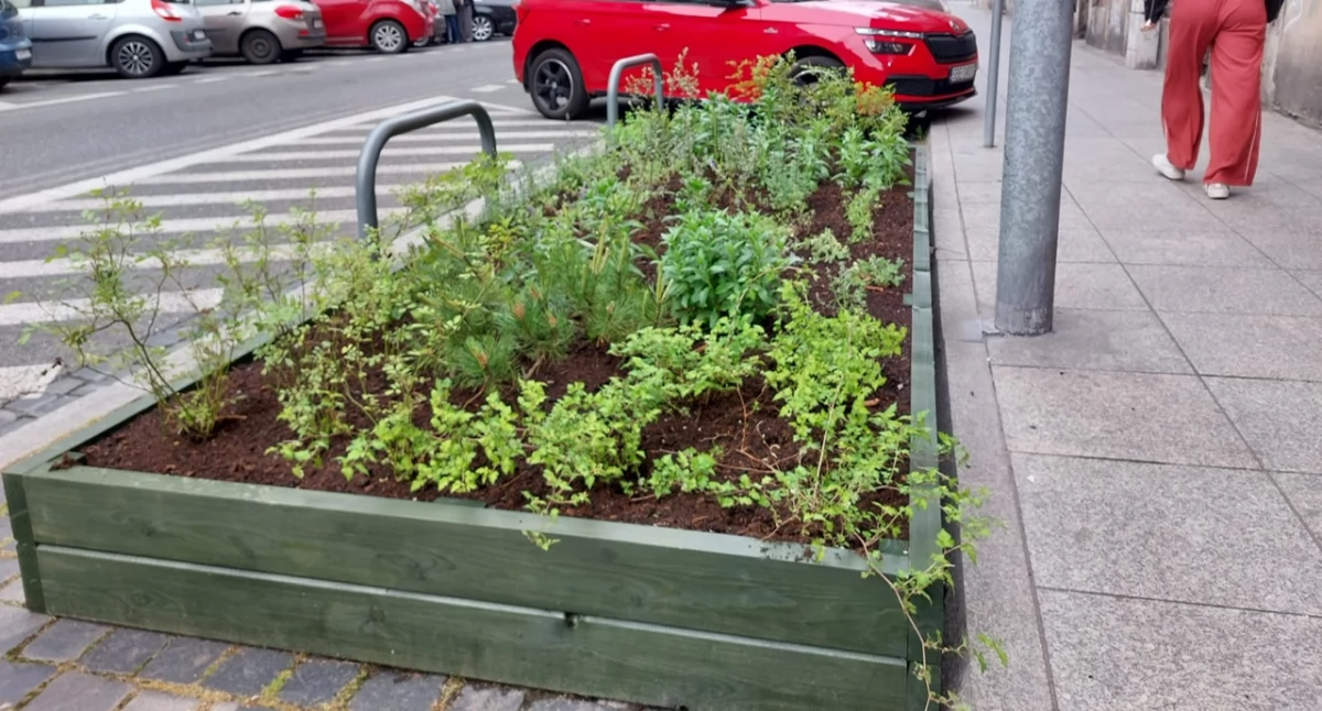 W kilku miejscach w centrum Katowic zostały postawione donice z zielenią. Stanęły na byłych parkingach