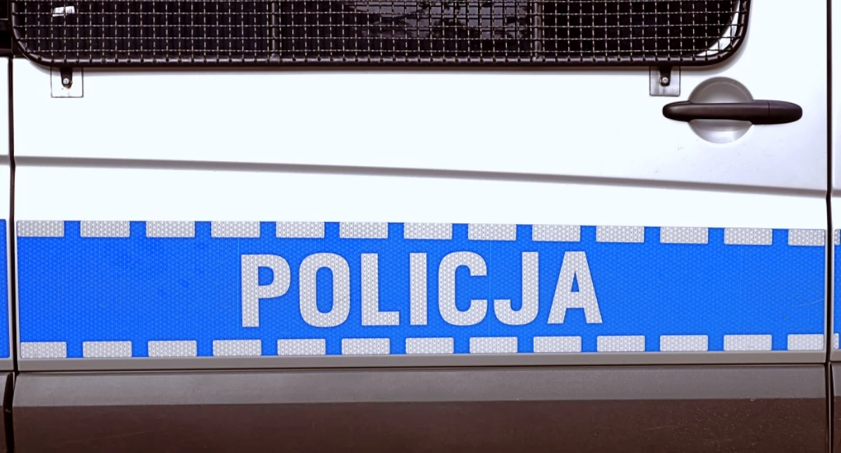 Oszust z Siemianowic sprzedawał gry, a później ich nie wysyłał. Naciągnął kupujących na kilkaset tysięcy złotych