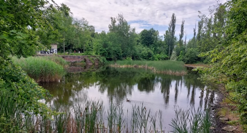 Deweloper chciał skrócić drogę do szkoły przez działkę, która do niego nie należy. Miasto odmówiło, a wniosek lex deweloper został wycofany