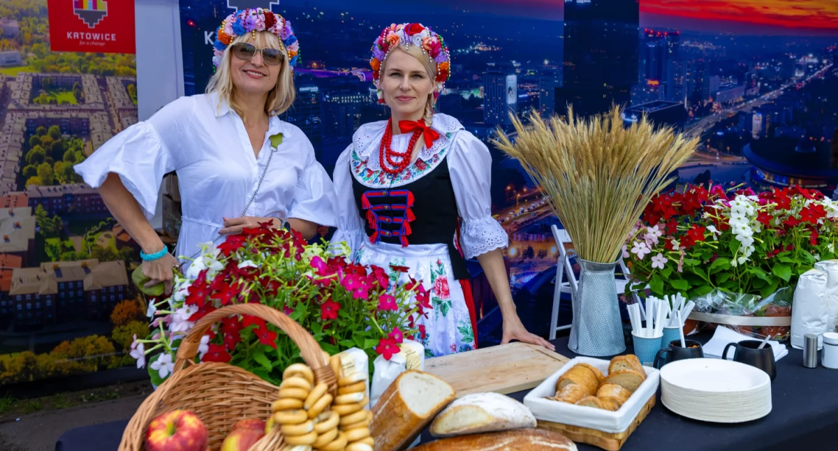 W weekend w Parku Zadole odbędzie się Festiwal Miast Partnerskich. Będzie jedzenie, muzyka, warsztaty i dyskusje