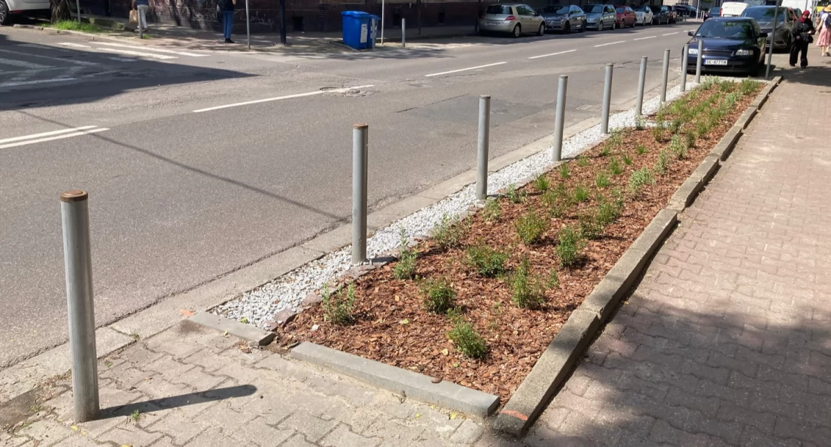 W centrum Katowic powstało kilka zieleńców. Wcześniej były tam miejsca parkingowe