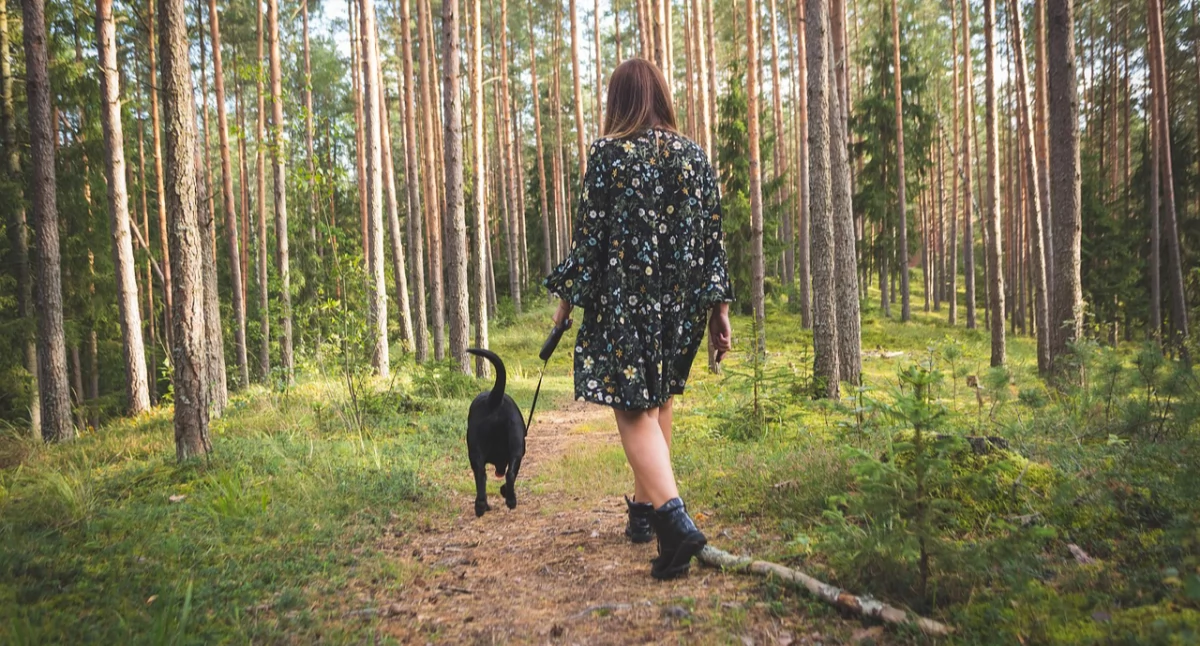 Weekend na mieście, czyli co ciekawego dzieje się w Katowicach