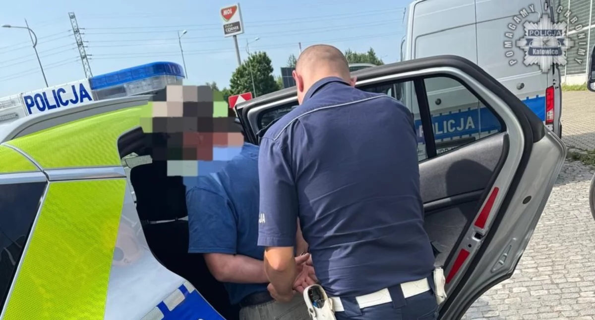 Poszukiwany czerwoną notą Interpolu został zatrzymany podczas kontroli drogowej 