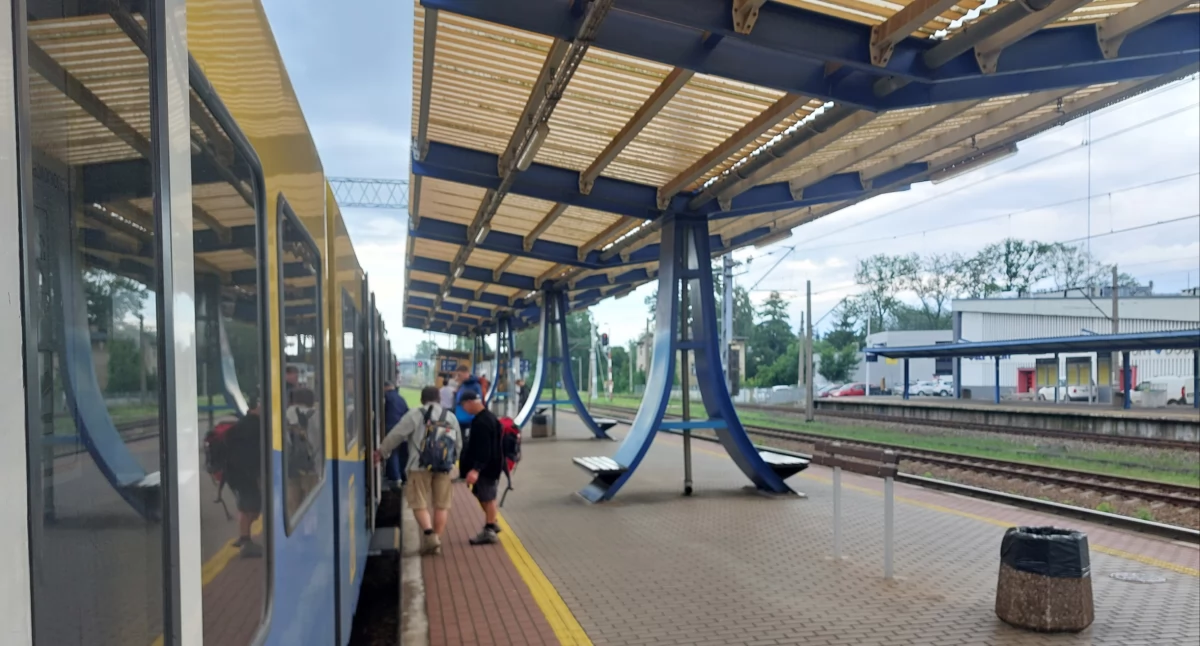 Pociągi powrócą na zapuszczoną linię kolejową. PKP PLK szykują inwestycję za 500 mln złotych