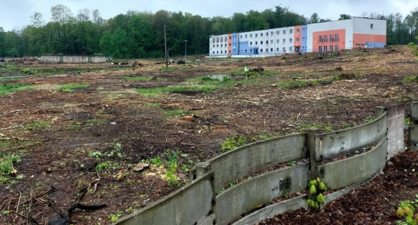 Prokuratura umorzyła postępowanie w sprawie wycinki 1000 drzew przy Parku Śląskim. „Nie zawiera znamion czynu zabronionego”