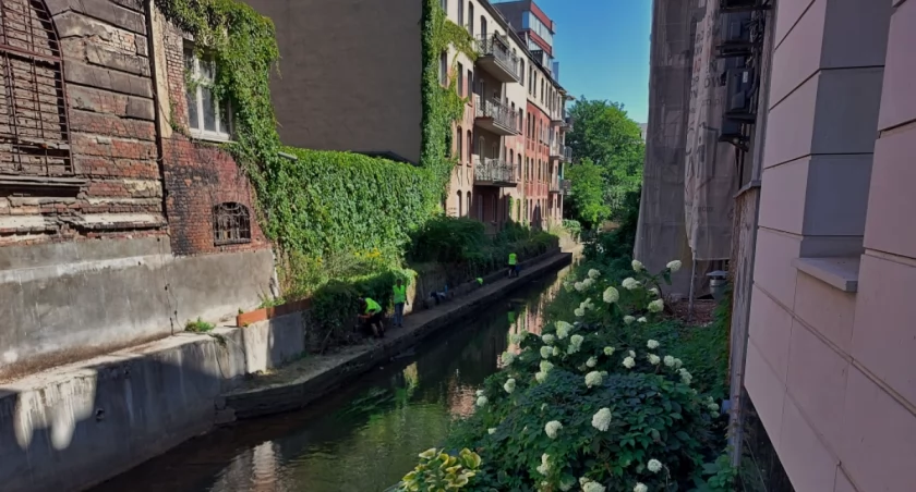 Dzień dobry Katowice. Trwają prace na brzegach Rawy