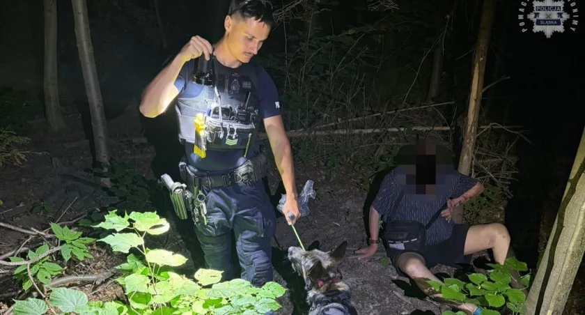 Wieczorny pościg na Muchowcu. Nietrzeźwy sprawca kolizji uciekł do lasu, ale wytropił go policyjny pies
