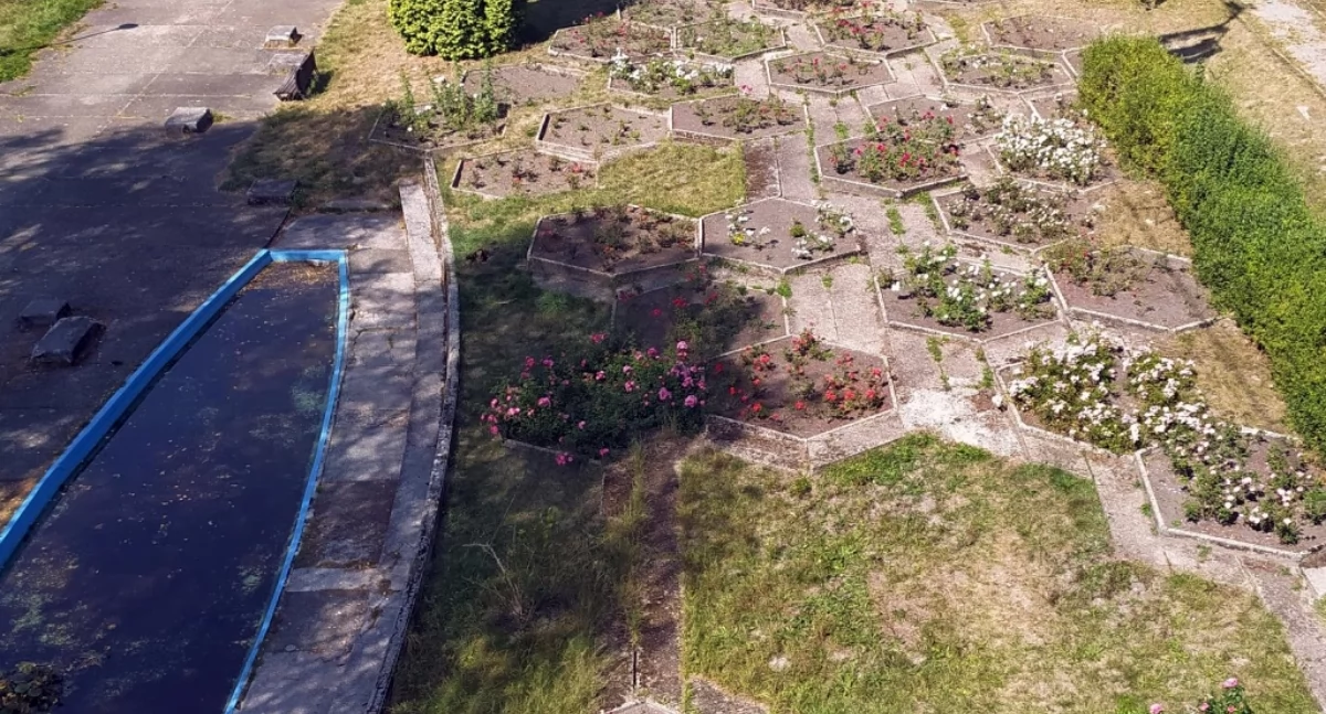 Rosarium w Parku Śląskim przejdzie gruntowny remont. Ma wyglądać jak w latach 60., ale będą też nowe elementy