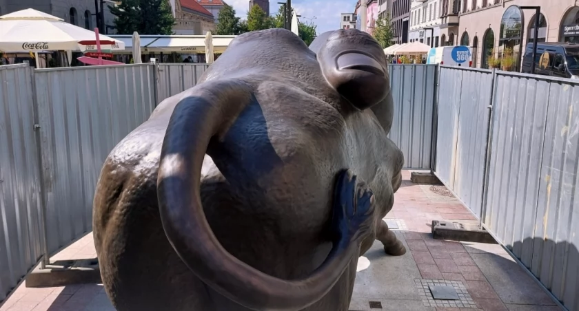 Duży byk stanął w centrum Katowic. Rzeźba Rafała Olbińskiego czeka na odsłonięcie