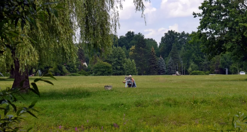 „Seksmisja” po śląsku, potańcówka i atrakcje dla dzieci. Dzisiaj rusza kino w Dolinie Trzech Stawów