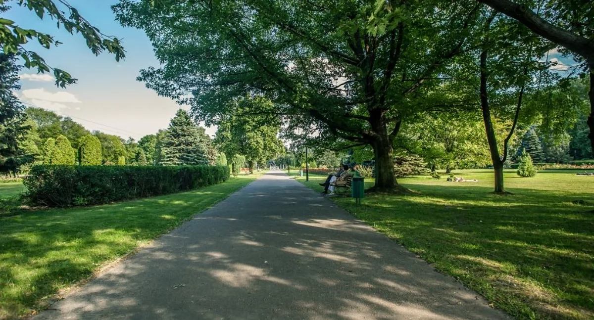 Rosarium dłużej poczeka na remont. Park Śląski unieważnił przetarg