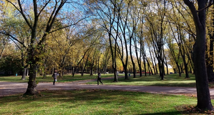 W Parku Śląskim powstanie arboretum. Zielona przestrzeń będzie zlokalizowana od strony Katowic