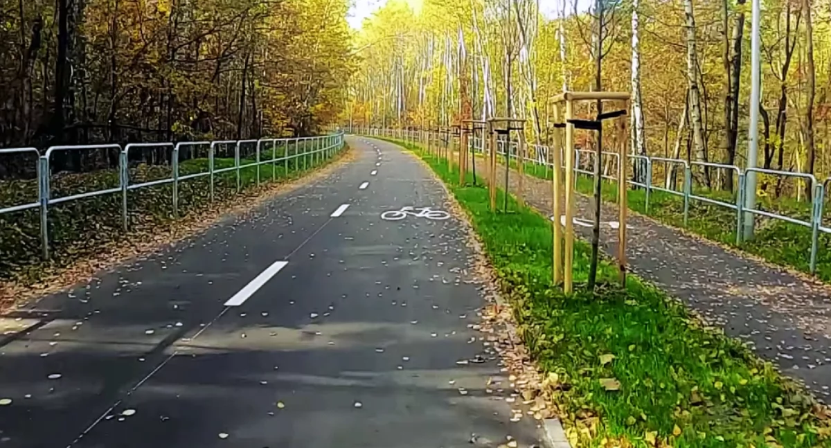 Likwidacja świateł na DK86, ulica bez samochodów i duża wycinka. Powstała koncepcja velostrady Katowice-Tychy