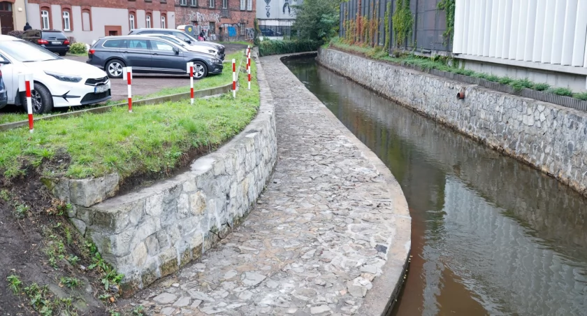 Zakończyły się prace porządkowe w korycie Rawy w centrum Katowic