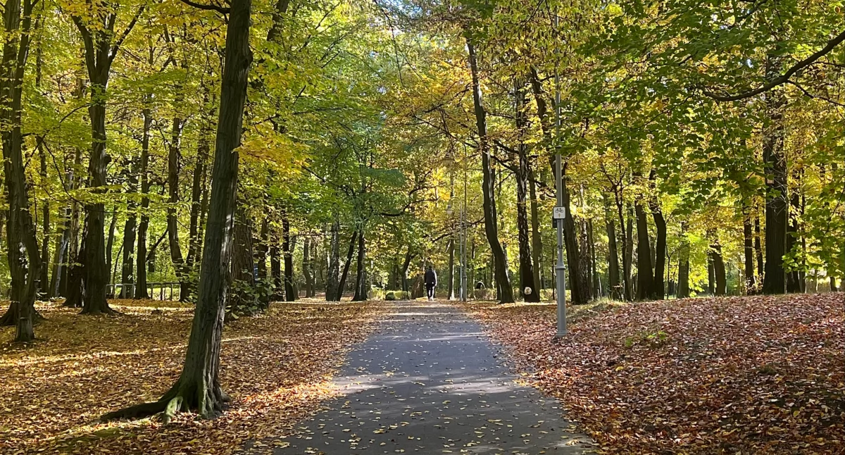Weekend na mieście, czyli co ciekawego dzieje się w Katowicach