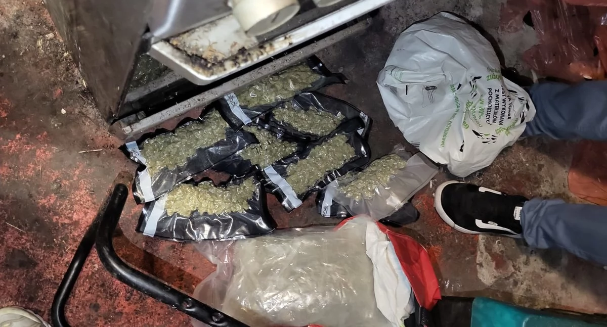 Marihuana w przesyłce ze Stanów Zjednoczonych. W ten sposób gang przemycał narkotyki do Polski