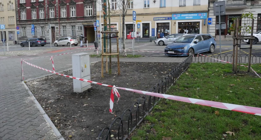 Plac Miarki będzie trochę bardziej zielony