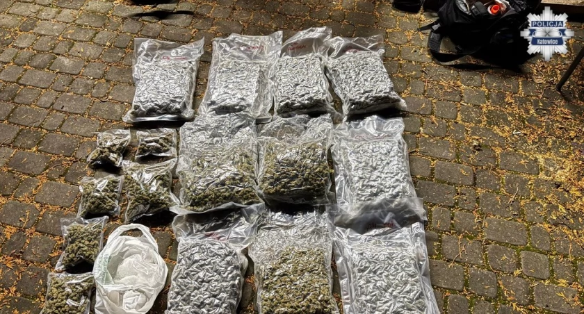 Policjanci przejęli sporą ilość narkotyków. Zatrzymali pseudokibiców