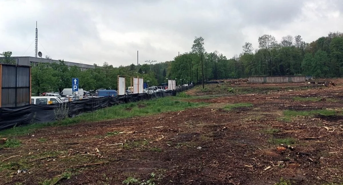 Teren planowanego arboretum w Parku Śląskim uporządkuje ta sama firma, która wycięła ponad 1200 drzew obok Parku