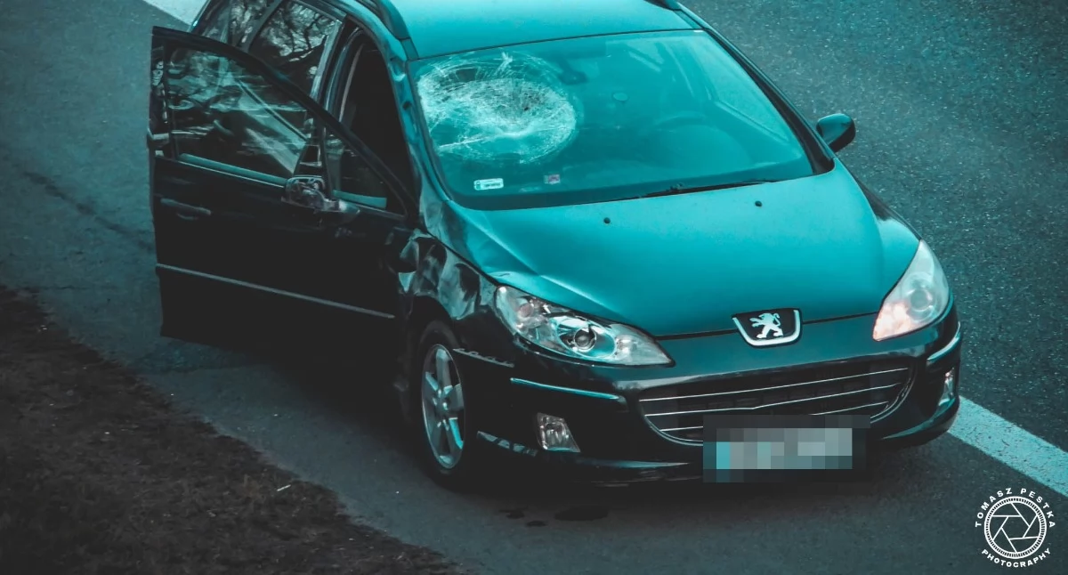 Młody mężczyzna wysiadł z auta na S1. Został potrącony i zginął na miejscu