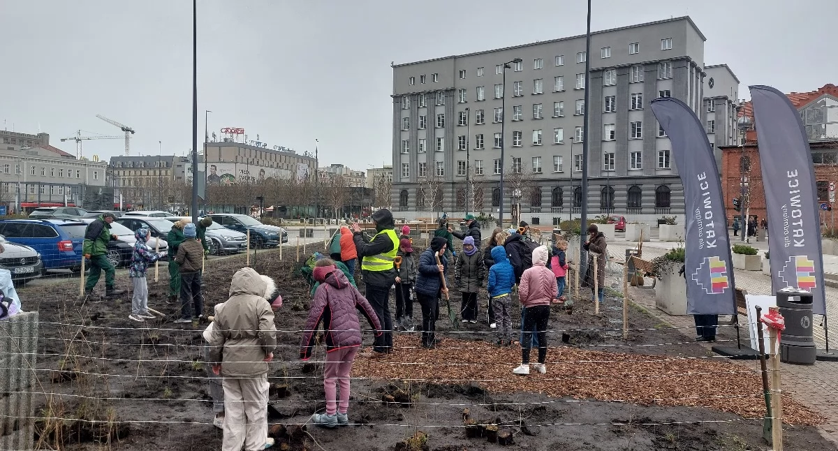 Mikrolas będzie rósł w centrum Katowic. Takie zielone przestrzenie mają powstać w każdej dzielnicy
