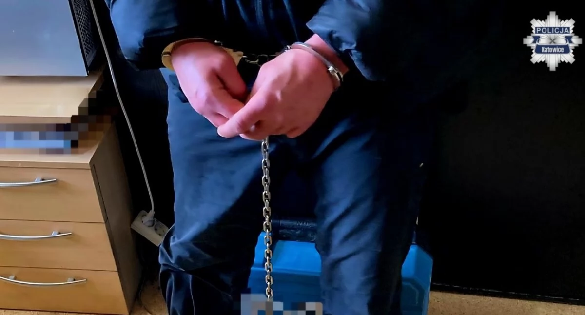 Włamywał się do piwnic. Policjanci zatrzymali mieszkańca Katowic 