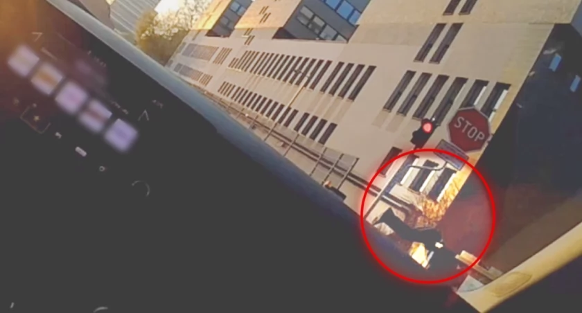 Uciekał przed policją z narkotykami. Katowiczanin ukrył się w śmietniku, ale wystawały z niego nogi