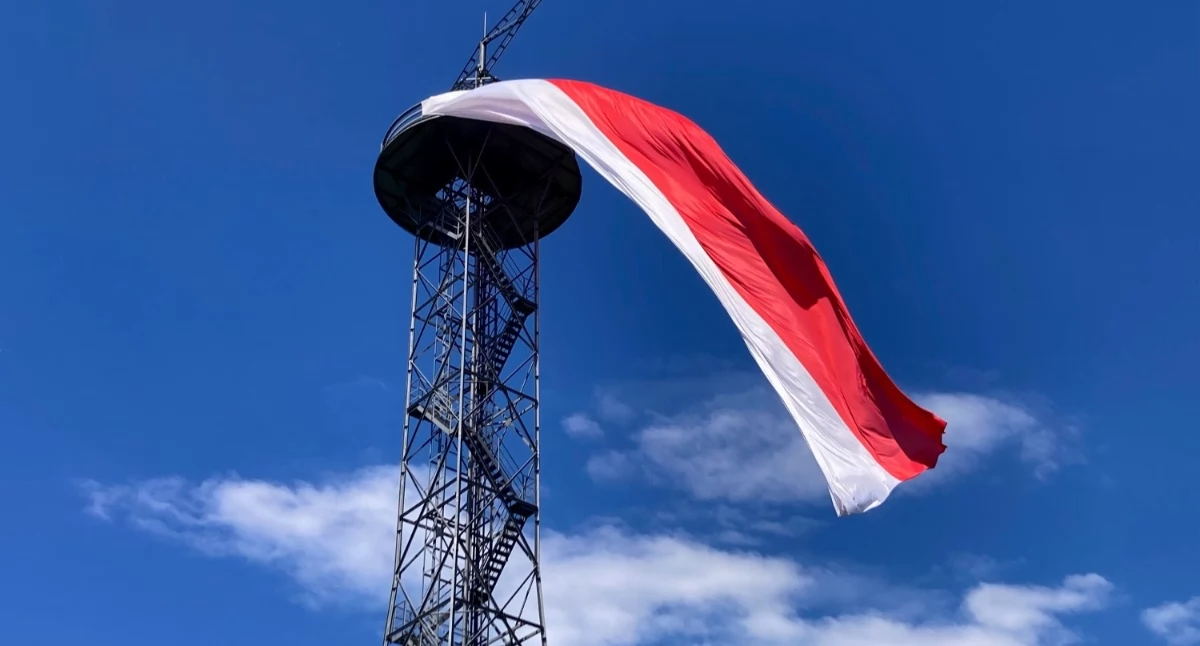 Nowa zieleń wokół wieży spadochronowej. Na razie wygląda bardzo niepozornie