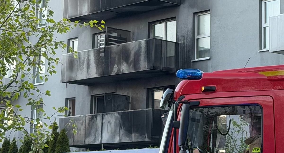Pożar na osiedlu w Katowicach. Zapaliła się donica, ogień objął elewację