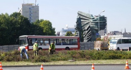 Trwa wycinanie zieleni przed defiladą wojskową