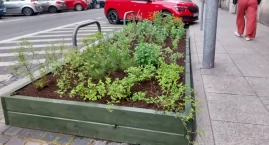 W kilku miejscach w centrum Katowic zostały postawione donice z zielenią. Stanęły na byłych parkingach