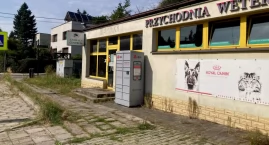 Ktoś zamknął żywego kota w automacie paczkowym. Zwierzę konało w wielkich cierpieniach [MATERIAŁ 16+]