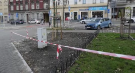 Plac Miarki będzie trochę bardziej zielony