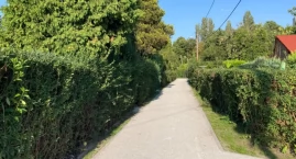 Na ogródkach działkowych w centrum Katowic grasuje złodziej. Kradnie głównie liczniki wody [WIDEO]