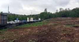 Teren planowanego arboretum w Parku Śląskim uporządkuje ta sama firma, która wycięła ponad 1200 drzew obok Parku