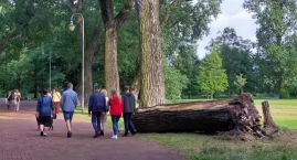 Koniec zielonej alei przy wieży spadochronowej. Po b&hellip;
