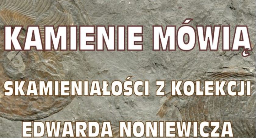 Muzeum Łowicz. Wystawa „Kamienie mówią. Skamieniałości z kolekcji Edwarda Noniewicza”