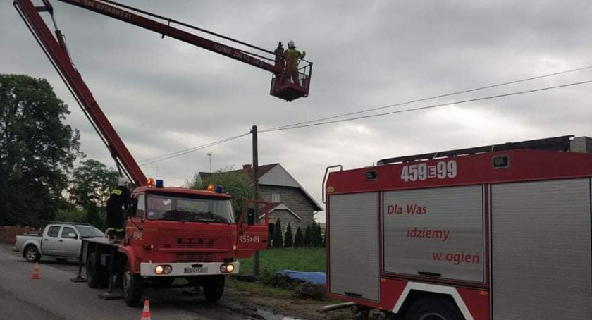 Bocianie gniazdo spadło ze słupa pod Łowiczem. Zginęły młode ptaki