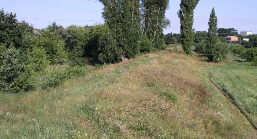 Ścieżka pieszo-rowerowa na wale. Władze Łowicza szukają projektanta