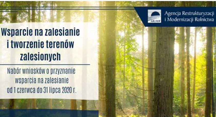 Czas na składanie wniosków na zalesienie dobiega końca