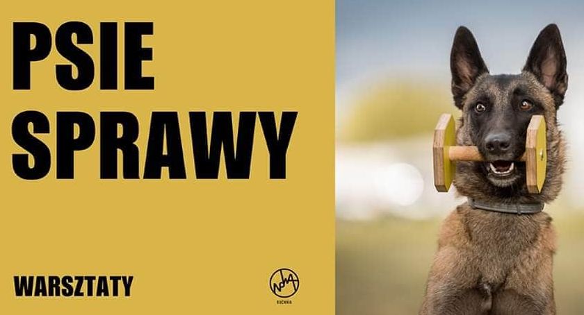 Psie sprawy w Nowej Pracowni