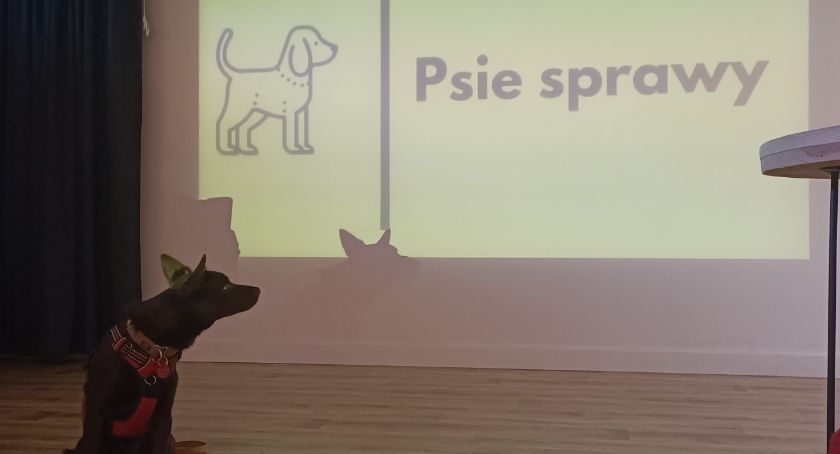 Co nieco o psach na warsztatach w Nowej Pracowni