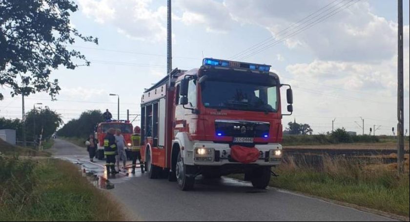 Jest sucho. Strażacy mają pełne ręce roboty (FOTO i VIDEO)