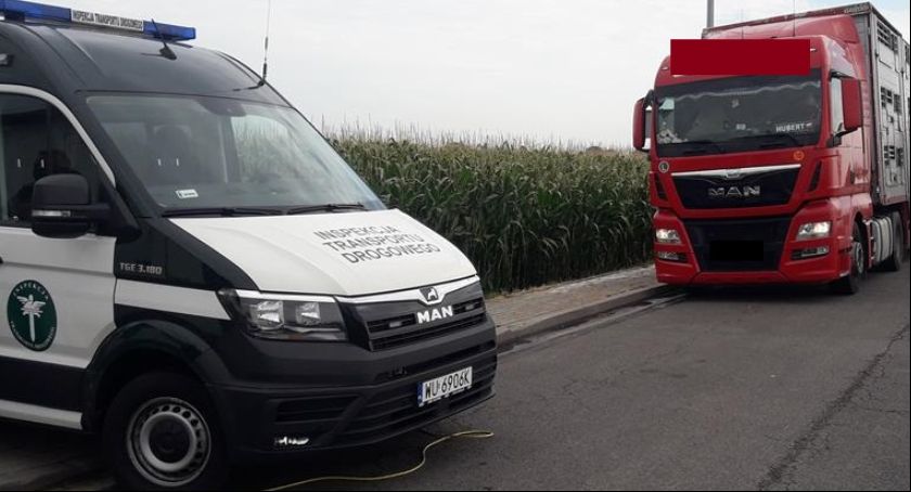 Łowicka Inspekcja Transportu Drogowego zatrzymała nienormatywne transporty zwierząt 