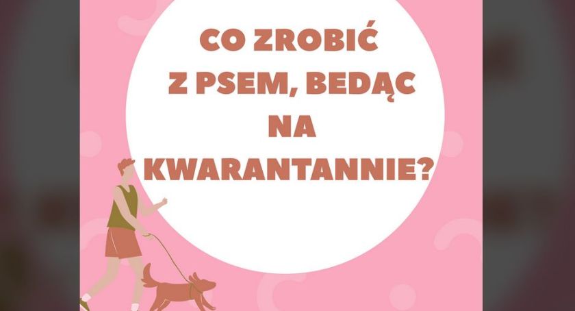 Nie możesz wyjść z psem, bo jesteś na kwarantannie? Wolontariusze ze schroniska mają pomysł
